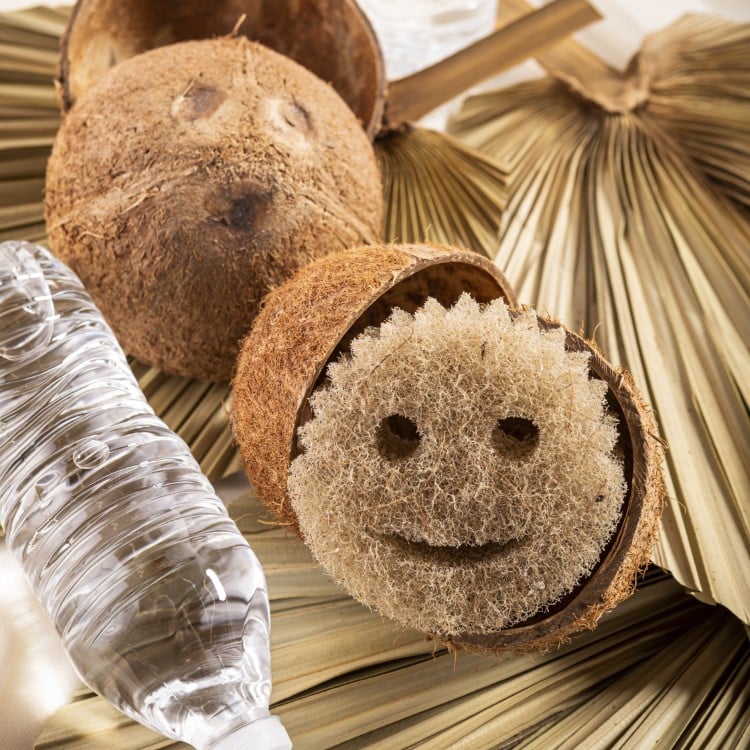 cocomesh with coconuts and water bottles